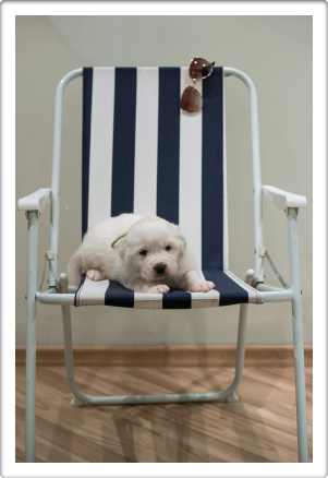 Capture One Session0380_1